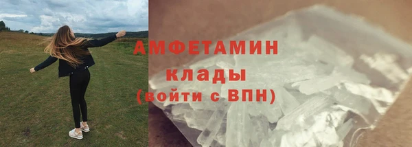 сатива Волосово