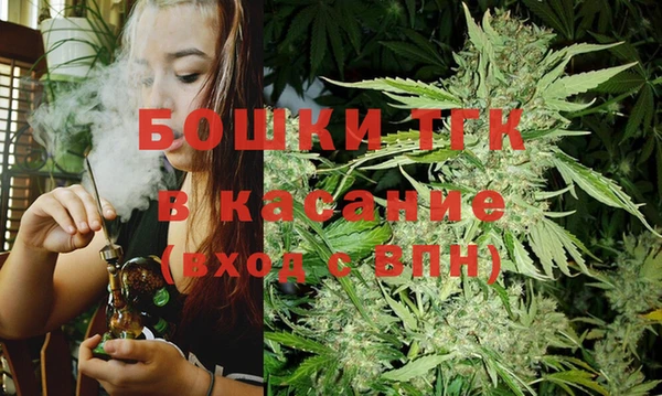 сатива Волосово