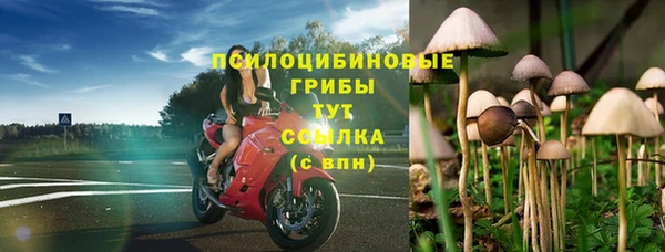 ALPHA-PVP Володарск