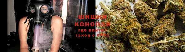 сатива Волосово