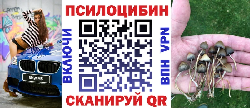 что такое   Вяземский  Псилоцибиновые грибы мицелий 